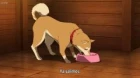 Kaze ga Tsuyoku Fuiteiru episodio 12