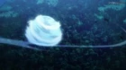 Toaru Majutsu no Index III episodio 13