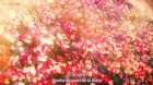 Irozuku Sekai no Ashita kara episodio 12