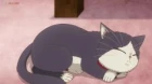 Doukyonin wa Hiza, Tokidoki, Atama no Ue. episodio 11
