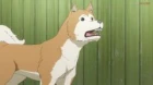 Bakumatsu: Crisis episodio 5