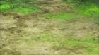 Isekai Cheat Magician episodio 4