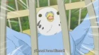 Chuubyou Gekihatsu Boy episodio 10