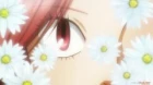 Chihayafuru 3 episodio 17