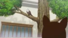 Uchi Tama?! Uchi no Tama Shirimasen ka? episodio 4
