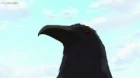 Rikei ga Koi ni Ochita no de Shoumei shitemita. episodio 8
