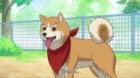 Oda Cinnamon Nobunaga episodio 1