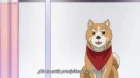 Oda Cinnamon Nobunaga episodio 10