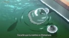 Adachi to Shimamura episodio 2