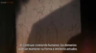 Yakusoku no Neverland 2nd Season episodio 6