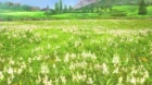 Hortensia Saga (TV) episodio 7