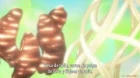 Shin Chuuka Ichiban! 2nd Season episodio 2