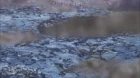 Toriko episodio 144