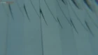 Bleach: Sennen Kessen-hen episodio 27