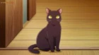 Koori Zokusei Danshi to Cool na Douryou Joshi episodio 11