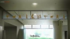 Tsurune: Tsunagari no Issha episodio 3
