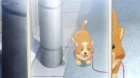 Inu ni Nattara Suki na Hito ni Hirowareta. episodio 2