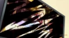 Tsundere Akuyaku Reijou Liselotte to Jikkyou no Endou-kun to Kaisetsu no Kobayashi-san episodio 10