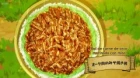 Tondemo Skill de Isekai Hourou Meshi episodio 5