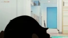 Dekiru Neko wa Kyou mo Yuuutsu episodio 11