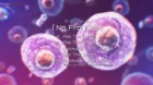 AI no Idenshi episodio 10