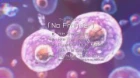 AI no Idenshi episodio 7