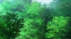 Kamonohashi Ron no Kindan Suiri episodio 12
