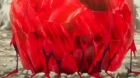 Hikikomari Kyuuketsuki no Monmon episodio 7