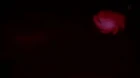 C: The Money of Soul and Possibility Control episodio 11