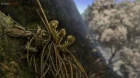 Yuru Camp△ Season 3 episodio 9