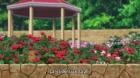 Vampire Dormitory episodio 6