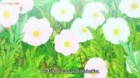 Tadaima, Okaeri episodio 7