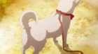 Kinoko Inu episodio 2