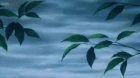 Übel Blatt episodio 3