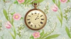 Anne Shirley episodio 13