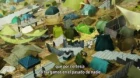 Lazarus episodio 3