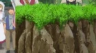 Yuusha Party wo Tsuihou sareta Shiromadoushi episodio 9