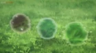 Majutsushi Kunon wa Mieteiru episodio 3