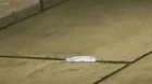 Re:Zero kara Hajimeru Isekai Seikatsu 4th Season episodio 7