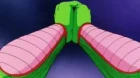 Dragon Ball episodio 138