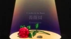 Rozen Maiden: Träumend episodio 11