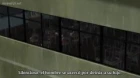 Blood-C episodio 5