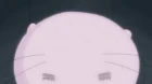 Tamayura Hitotose episodio 9
