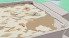 Megami Kouhosei episodio 1