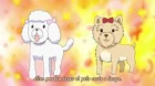 Shiba Inuko-san episodio 16