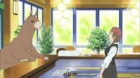 Shirokuma Cafe episodio 41