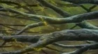 Slayers episodio 24