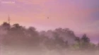 Btooom! episodio 12