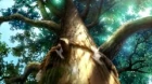 Yama no Susume episodio 8