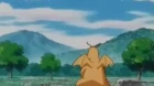 Pokemon episodio 255